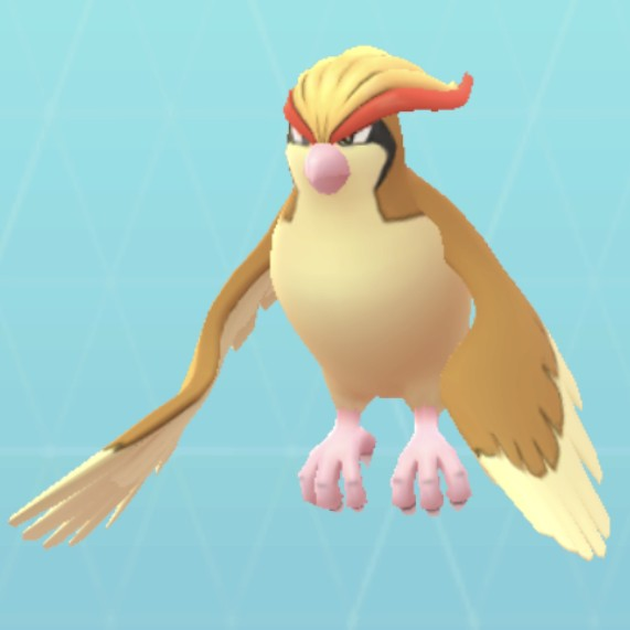 ピジョット