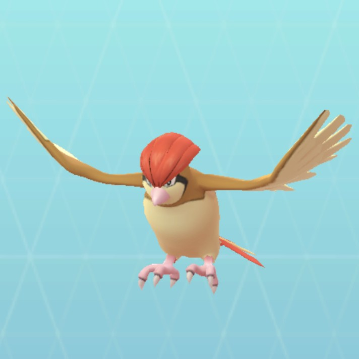 ピジョン