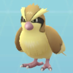 ポッポ