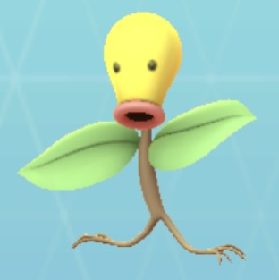 マダツボミ